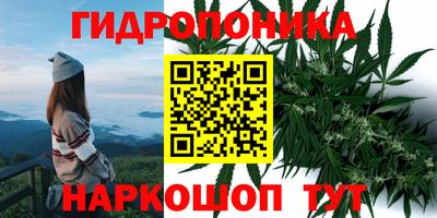 бошки Малгобек